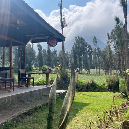 Gangga Guest House Bromo Ngadisari Luaran gambar